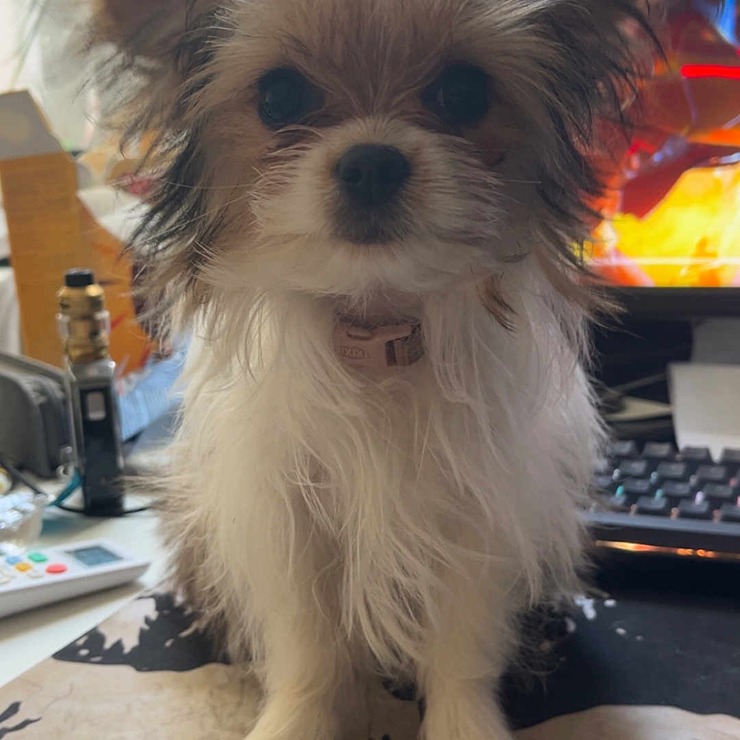 Luna