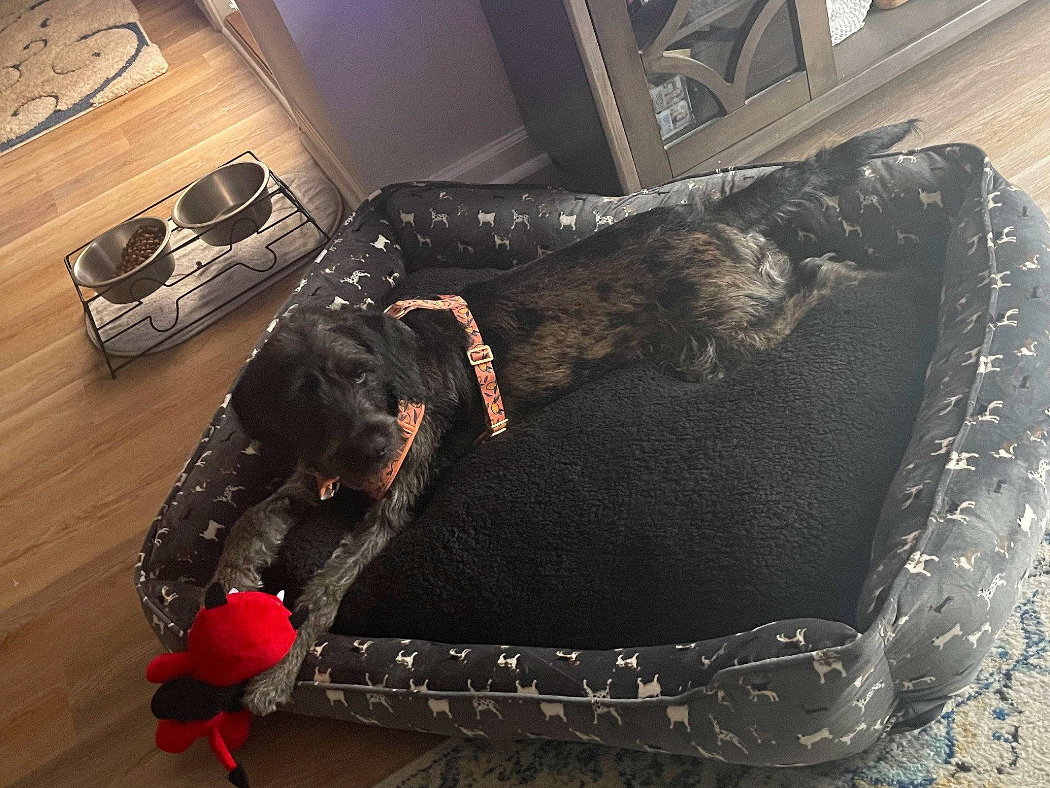 Dolly Mae Kelley joined the competition — help win amazing prizes! art, automotive_design, automotive_lighting, automotive_tire, bag, car, carmine, event, fashion_accessory, flooring, grey, motor_vehicle, pattern, personal_luxury_car, personal_protective_equipment, tire, trunk, vehicle, vehicle_door, wheel