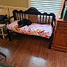 Sylvester is registered to the contest to win money with this photo: black_cat, cat, pet, animal, indoors, living_room, bench, wooden_furniture, floral_blanket, princess_pattern, window, window_blinds, sunlight, hardwood_floor, dresser, chair, home_decor, lounging, resting, portrait