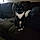 Sylvester