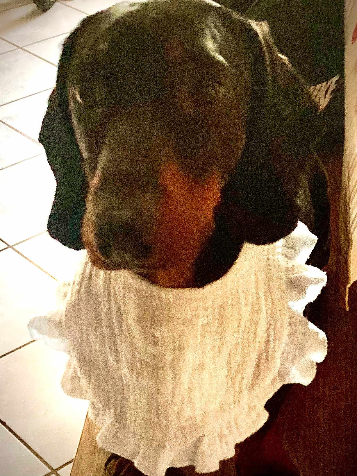Oxo a rejoint le concours — aidez-le/la à gagner de superbes lots ! dog, pet, indoor, tile_floor, white_clothing, ruffled_garment, brown_dog, black_dog, animal, cute, portrait, standing, furniture, home, domestic, canine, closeup, blurry, floor, mammal