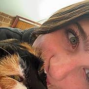 Phoenix joined the competition — help win amazing prizes! person, cat, calico_cat, close_up, face, whiskers, fur, snuggling, cuddle, indoor, portrait, animal, pet, human, eyelashes, nose, cheek, warm, intimate, soft_light