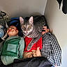 cat, tabby_cat, ventriloquist_dummy, doll, toy, indoor, corner, carpet, clothing, green_jacket, red_shirt, checkered_shirt, fur, eyes, mouth_open, sitting, resting, human_like, posing, quirky
