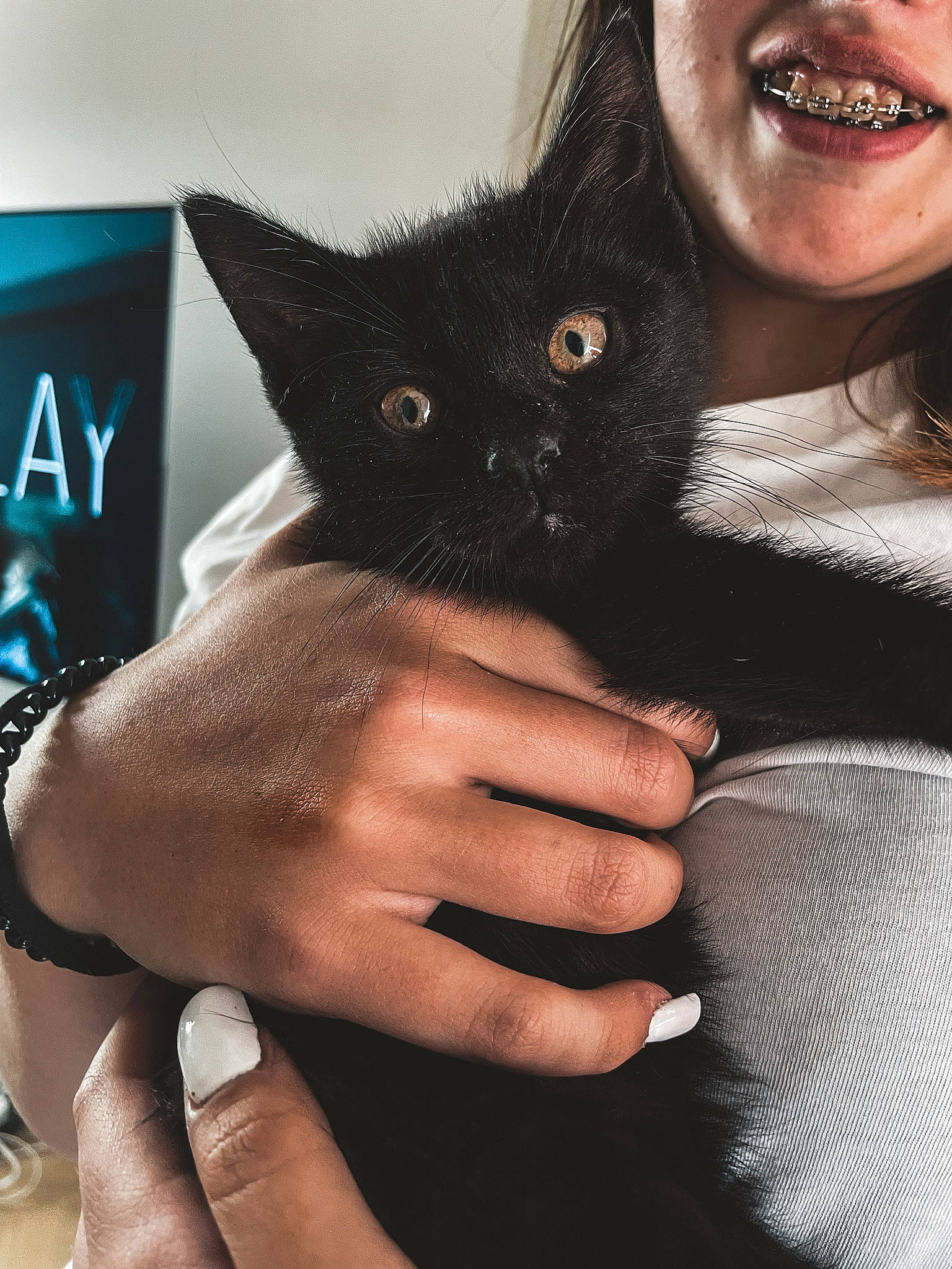 Tokyo participe au concours pour gagner de l'argent avec cette photo : carnivore, cat, cool, ear, eyelash, facial_expression, felidae, finger, gesture, hand, happy, human_body, iris, nail, neck, shoulder, skin, small_to_medium_sized_cats, thumb, whiskers