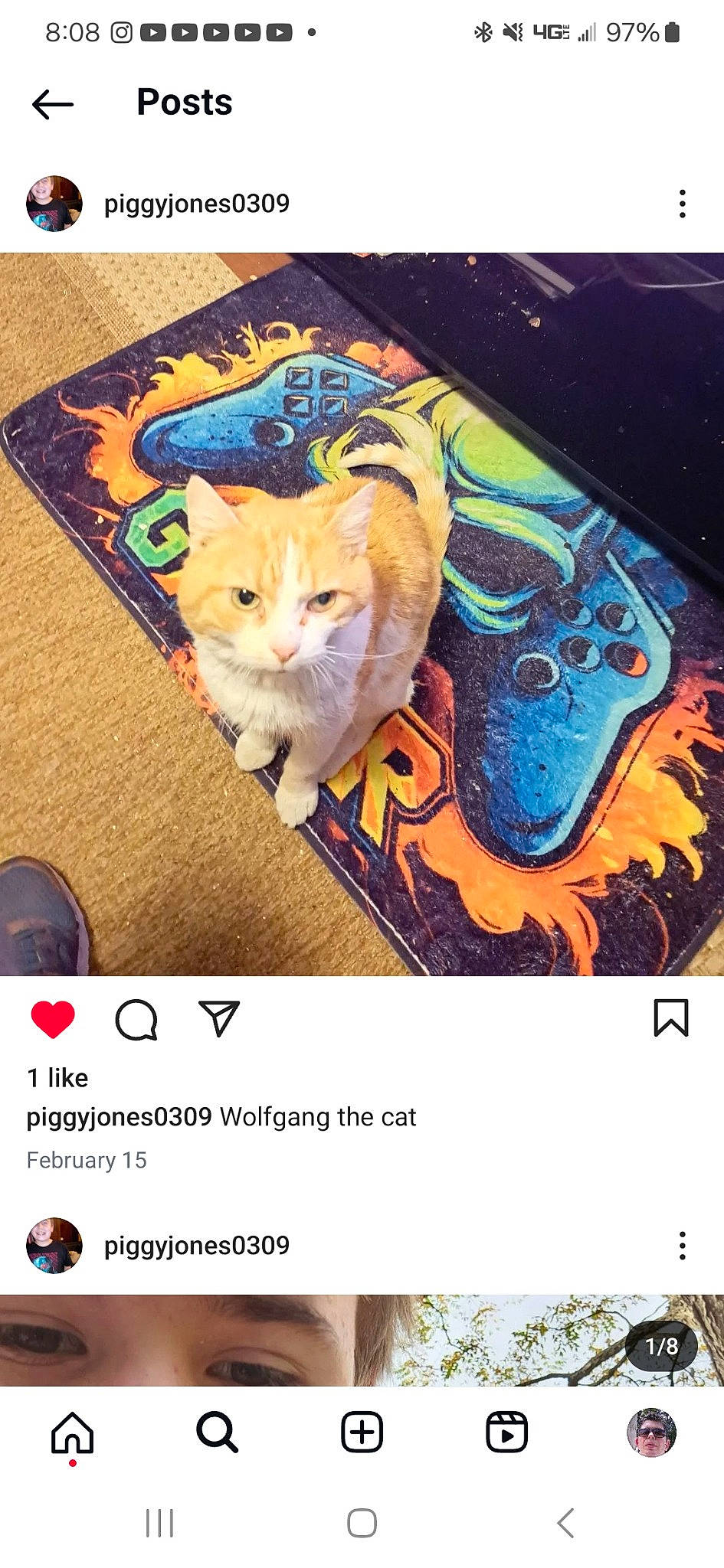 Wolfgang