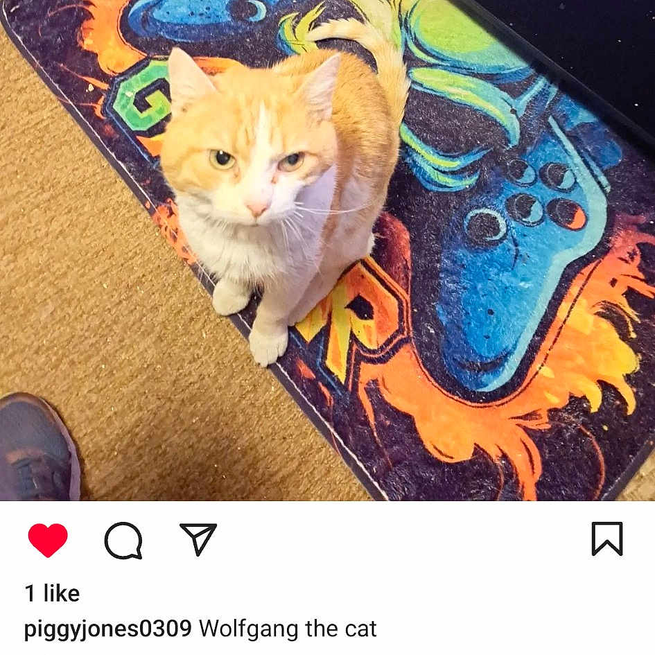 Wolfgang
