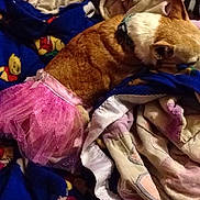 Sweetheart is registered to the contest to win money with this photo: