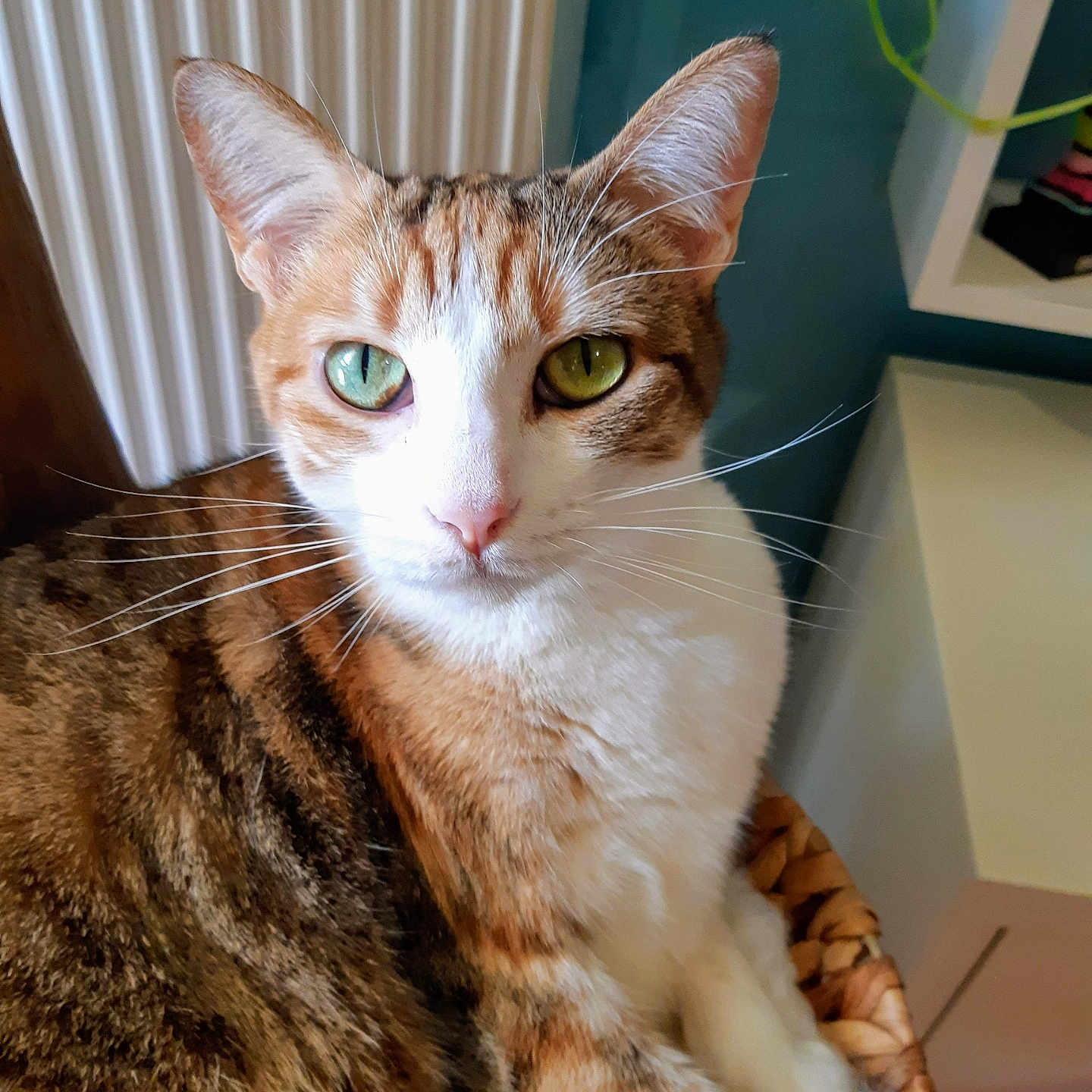 Luna
