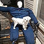 dog, scarecrow, skull_mask, bench, overalls, boots, leaves, outdoor, night, pet, white_dog, costume, porch, furniture, animal, fall, decoration, lawn_decor, sitting, curious