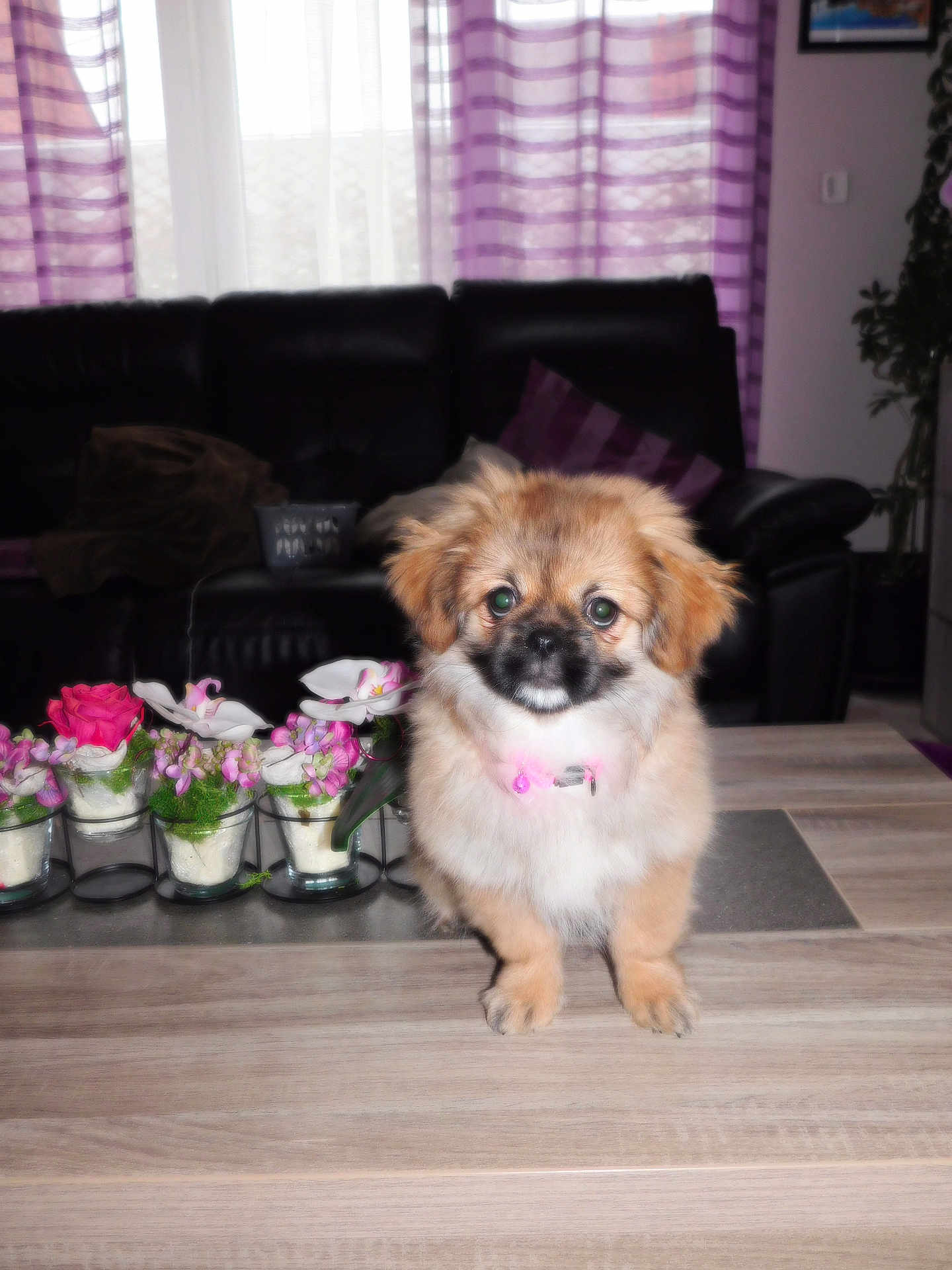 Rosy
