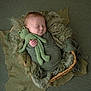 baby, sleeping, swaddled, plush_toy, frog, basket, blanket, green, cozy, infant, soft_texture, peaceful, cute, child, wrapped, portrait, indoors, resting, newborn, toddler