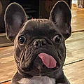 Rudy R.