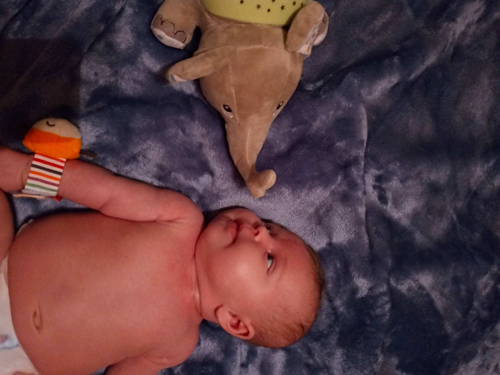 Allyson is registered to the contest to win money with this photo: abdomen, arm, baby, black, cheek, chest, comfort, finger, fun, gesture, human_body, human_leg, joint, mouth, nose, person, skin, stomach, thumb, toddler