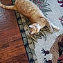 cat, orange_tabby, lying_down, rug, turkey_pattern, wooden_floor, indoor, pet, relaxed, home, animal, feline, flooring, decor, cozy, laying, looking_at_camera, domestic_cat, whiskers, ears