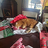 Chile joined the competition — help win amazing prizes! cat, orange_cat, tabby, table, wrapping_paper, tissue_paper, chair, lamp, window, curtains, holiday, indoor, relaxed, furniture, daylight, decor, house, cozy, pet, resting