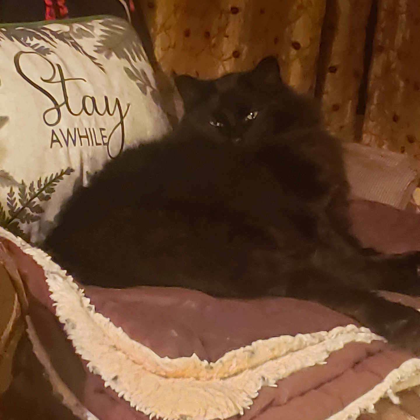 Leo