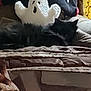 black_cat, cat, plush_ghost, bed, blanket, pillow, indoor, furniture, cozy, soft_toy, sleeping_cat, resting, home, pet, animal, cute, comfort, textile, relaxation, domestic