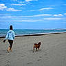Ianek participe au concours pour gagner de l'argent avec cette photo : barefoot, beach, blue_sky, calm, casual_clothing, clouds, daytime, dog, footprints, horizon, leisure, nature, ocean, outdoor, person, pet, sand, seaside, sky, walking