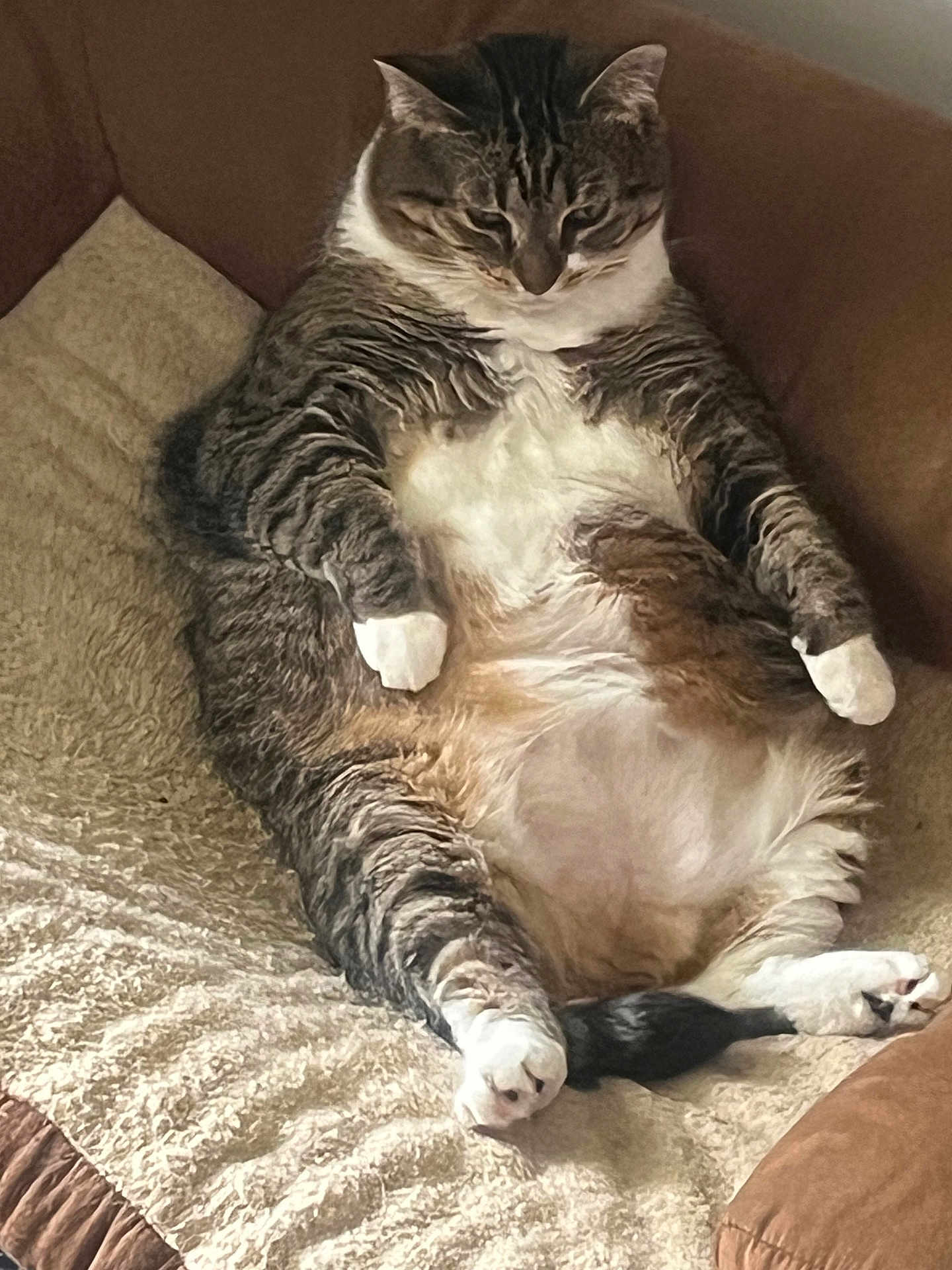 Mia