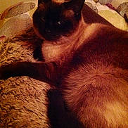 Match Ou a rejoint le concours — aidez-le/la à gagner de superbes lots !