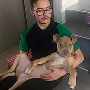 Kamel a rejoint le concours — aidez-le/la à gagner de superbes lots ! man, dog, glasses, indoor, stairs, sitting, casual, relaxed, brown_dog, black_pants, green_shirt, floor, door, pet, holding, portrait, young_adult, home, curious, calm