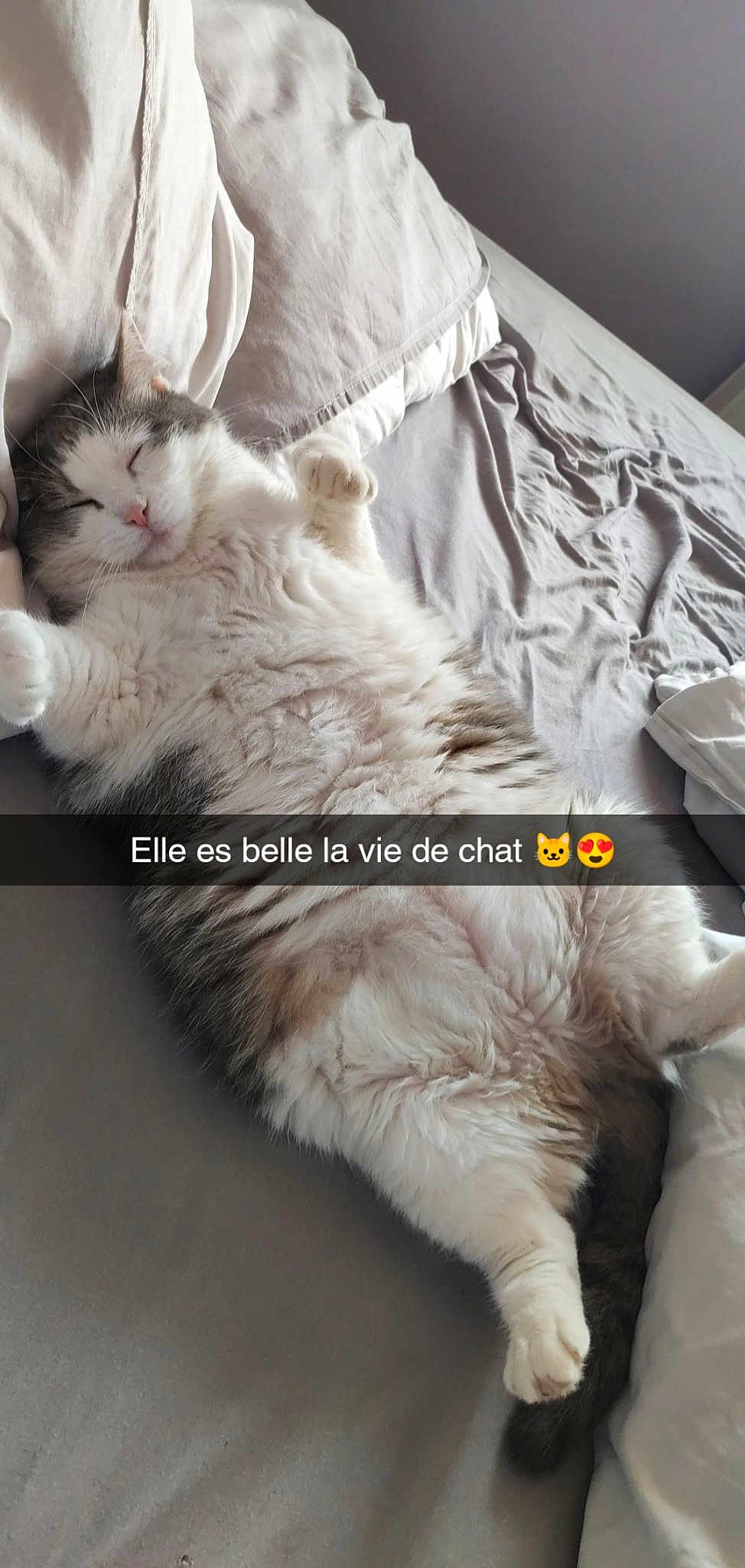 Praline