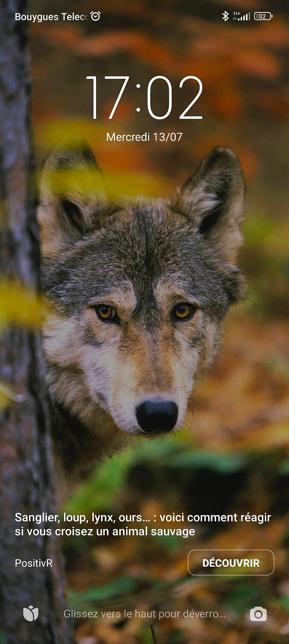 Harrow participe au concours pour gagner de l'argent avec cette photo : adaptation, art, canidae, canis, canis_lupus_tundrarum, carnivore, coyote, dog, dog_breed, fur, grass, illustration, photo_caption, photography, red_wolf, snout, terrestrial_animal, whiskers, wildlife, wolf