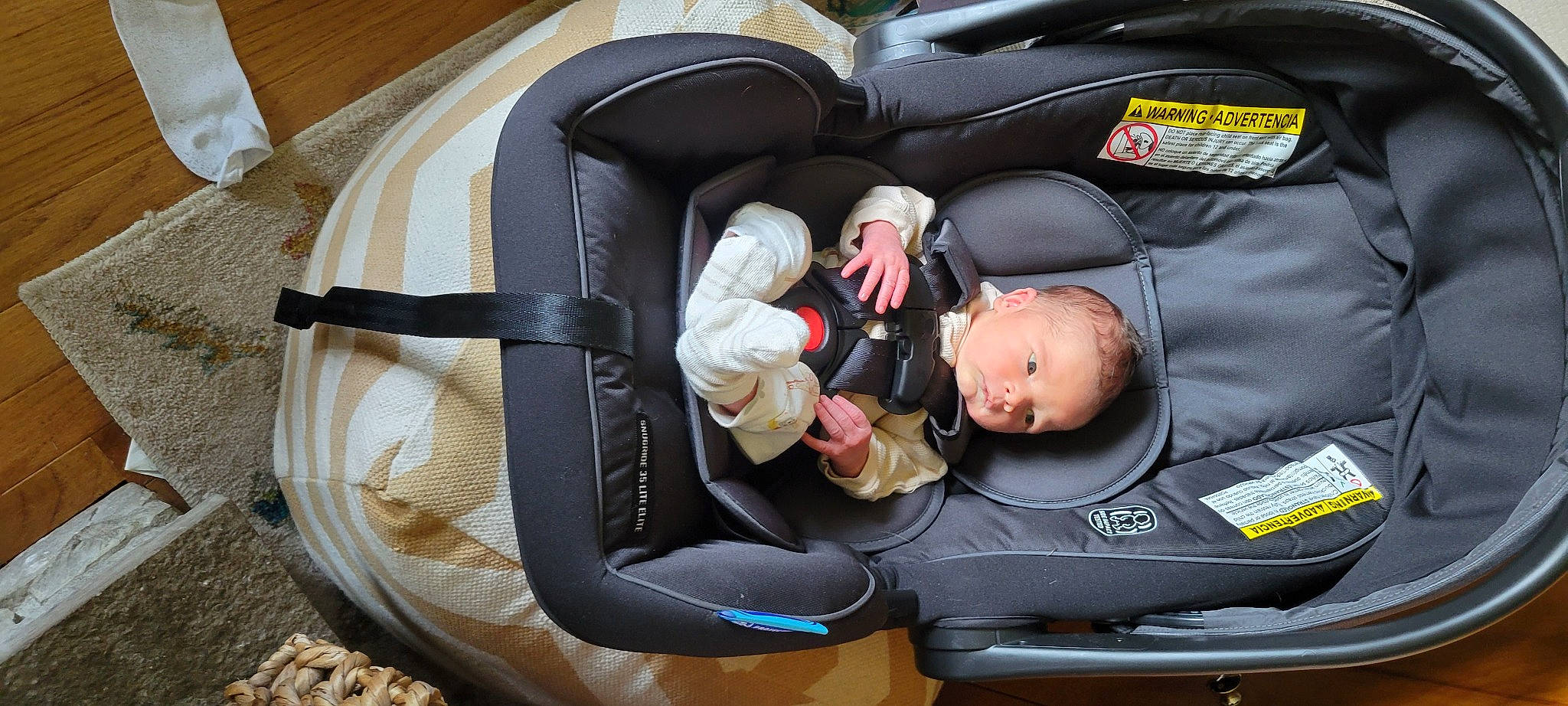 Carlos is registered to the contest to win money with this photo: auto_part, automotive_design, baby, baby_carriage, baby_in_car_seat, baby_products, baby_safety, baby_toddler_clothing, bag, baggage, car_seat, child, comfort, infant_bed, luggage_and_bags, motor_vehicle, person, product, service, sitting