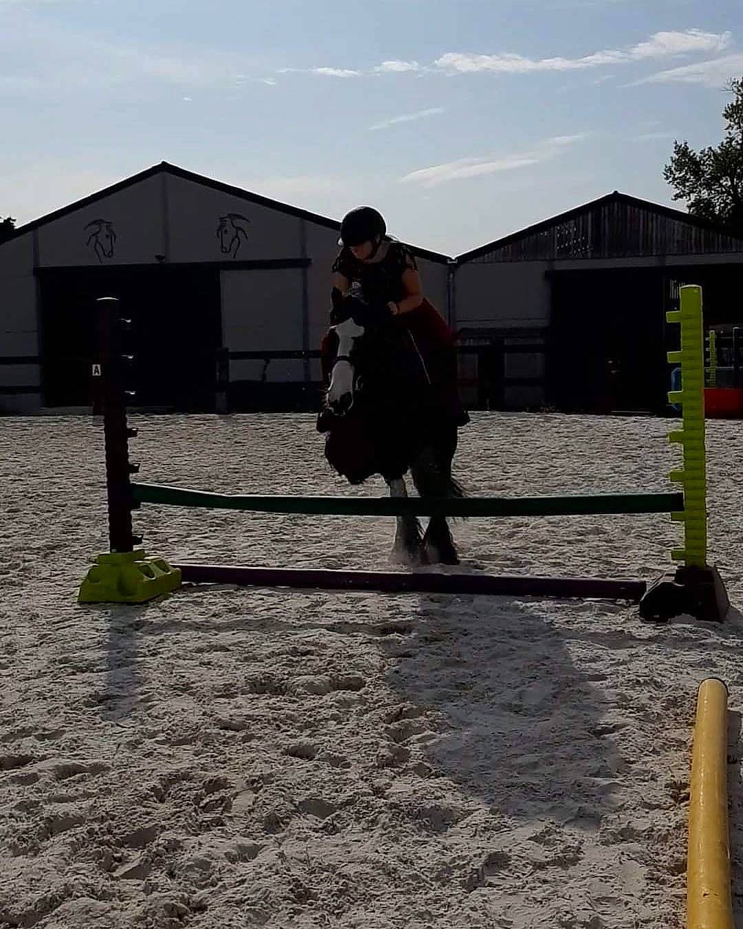 Dana a rejoint le concours — aidez-le/la à gagner de superbes lots ! horse, recreation, tree, water