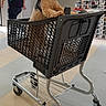 Liberty a rejoint le concours — aidez-le/la à gagner de superbes lots ! dog, small_dog, curly_fur, fluffy, brown_dog, pet, shopping_cart, grocery_store, retail, indoor, aisle, store, shopping, harness, seated, portrait, animal, customer, background_person, floor