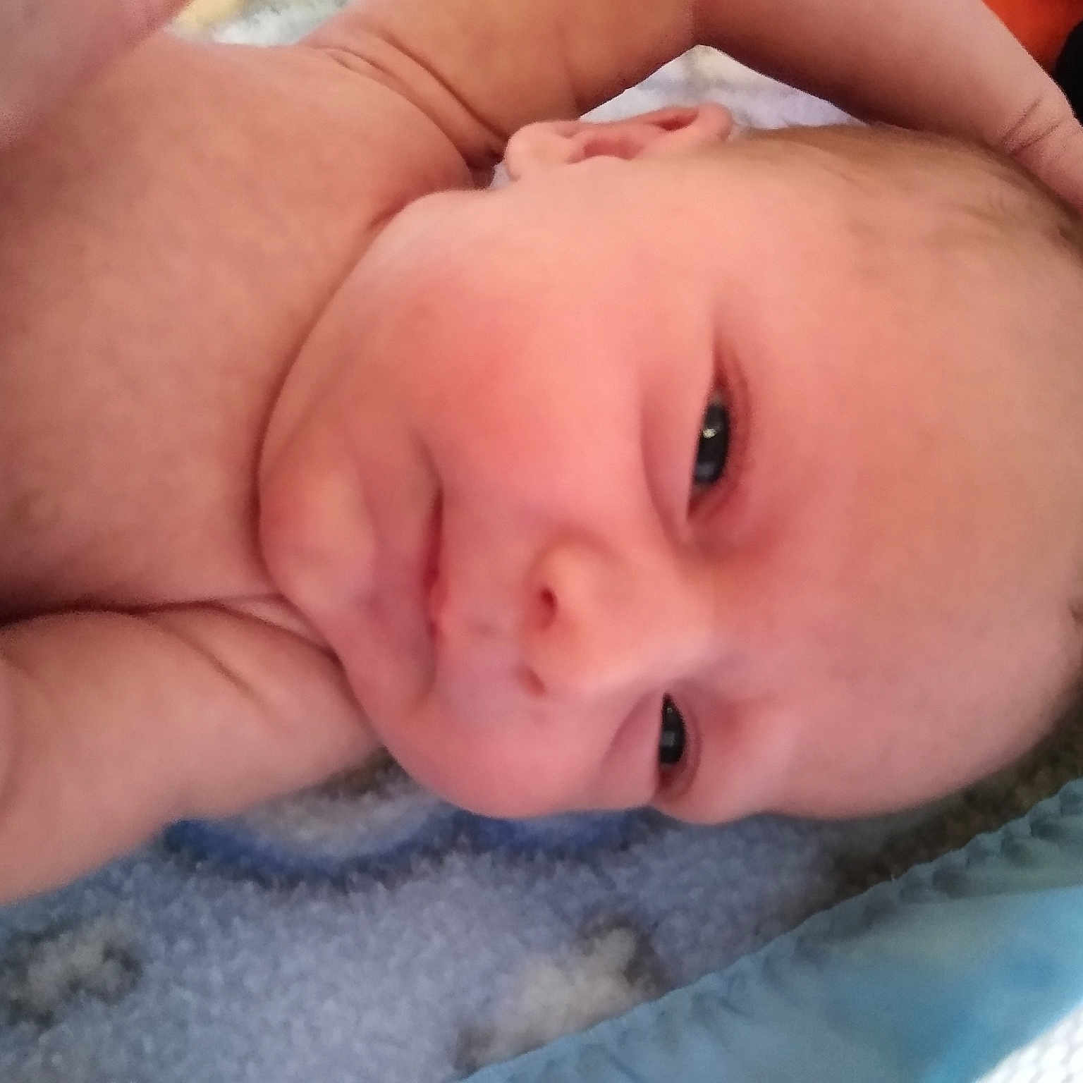 Matteo joined the competition — help win amazing prizes! baby, cheek, child, chin, close_up, eye, eyebrow, face, finger, forehead, hand, head, iris, lip, mouth, muscle, nose, organ, skin, toddler