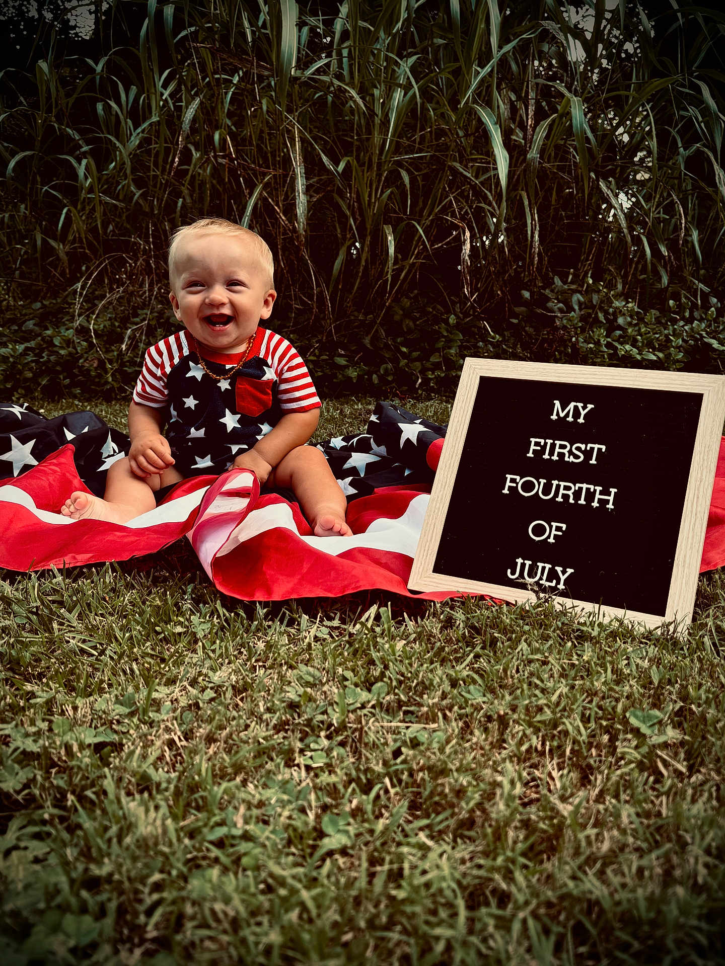 Teegan joined the competition — help win amazing prizes! baby, child, grass, american_flag, patriotic, smiling, outdoor, sign, celebration, holiday, clothing, summer, nature, greenery, happy, portrait, sitting, cute, red_white_blue, infant