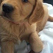 Bailey Beyer is registered to the contest to win money with this photo: