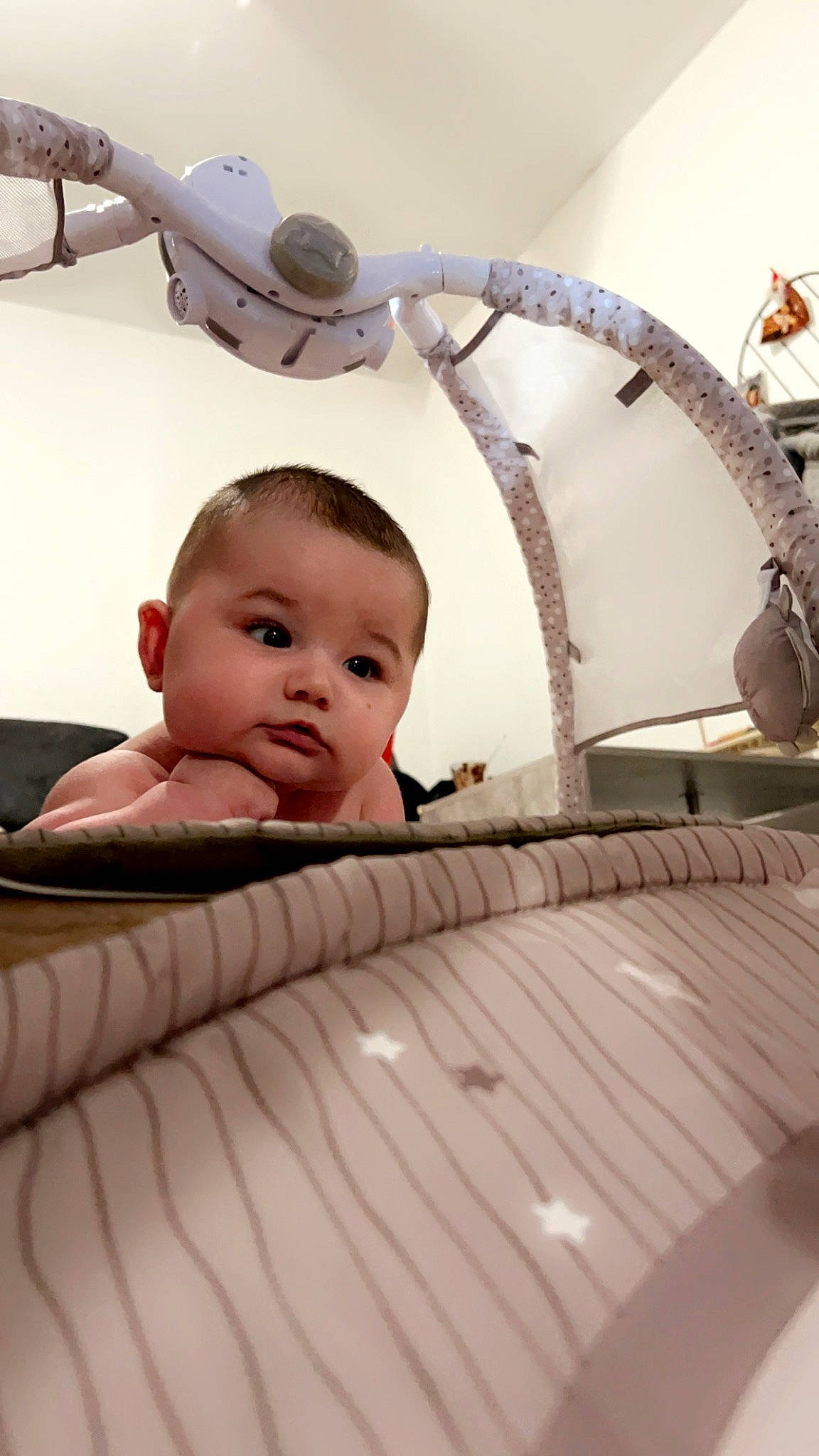 Elio a rejoint le concours — aidez-le/la à gagner de superbes lots ! baby, baby_products, baby_toddler_clothing, cheek, child, circle, comfort, eyelash, flash_photography, flooring, fun, hairstyle, happy, leisure, metal, person, room, sitting, toddler, wood