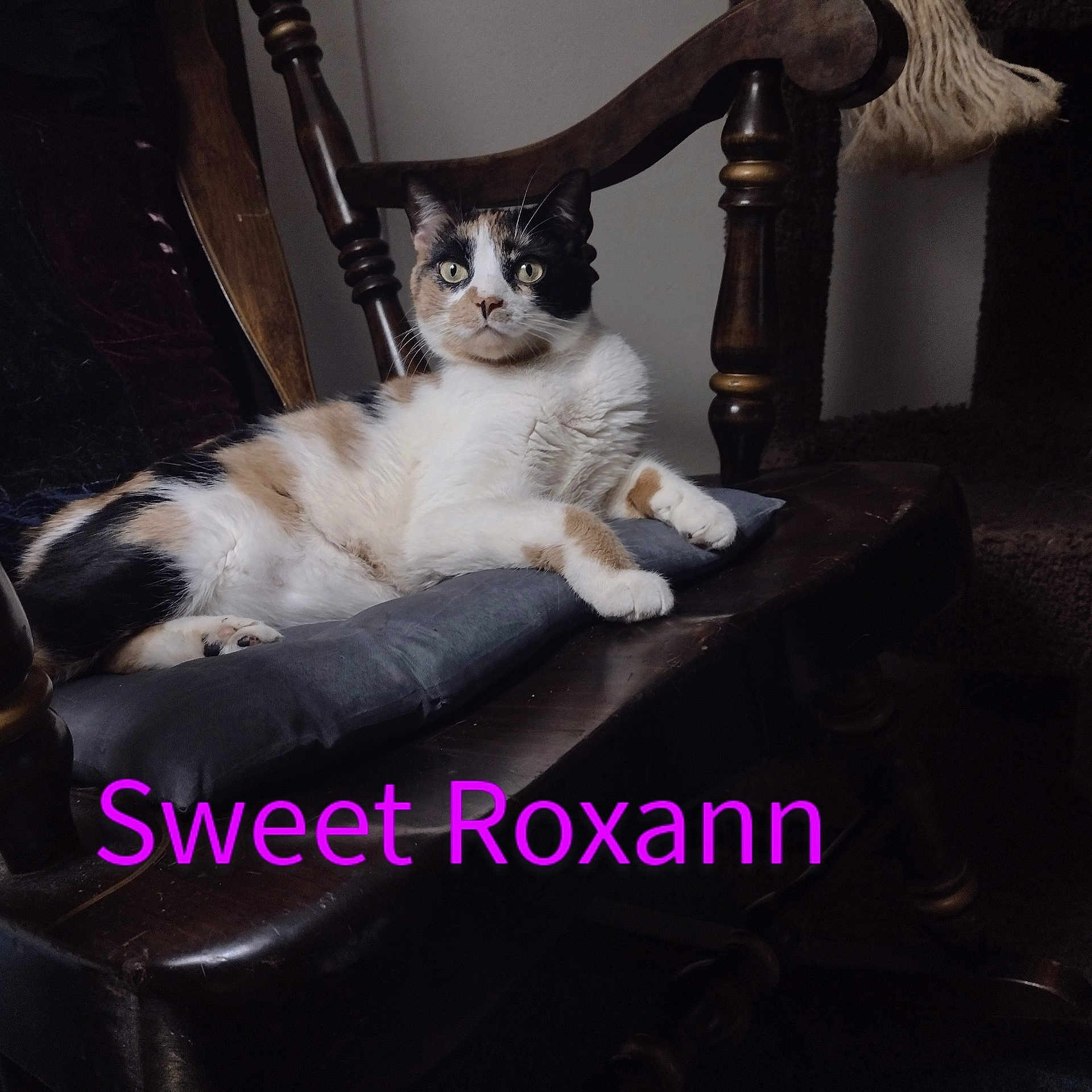 Roxann