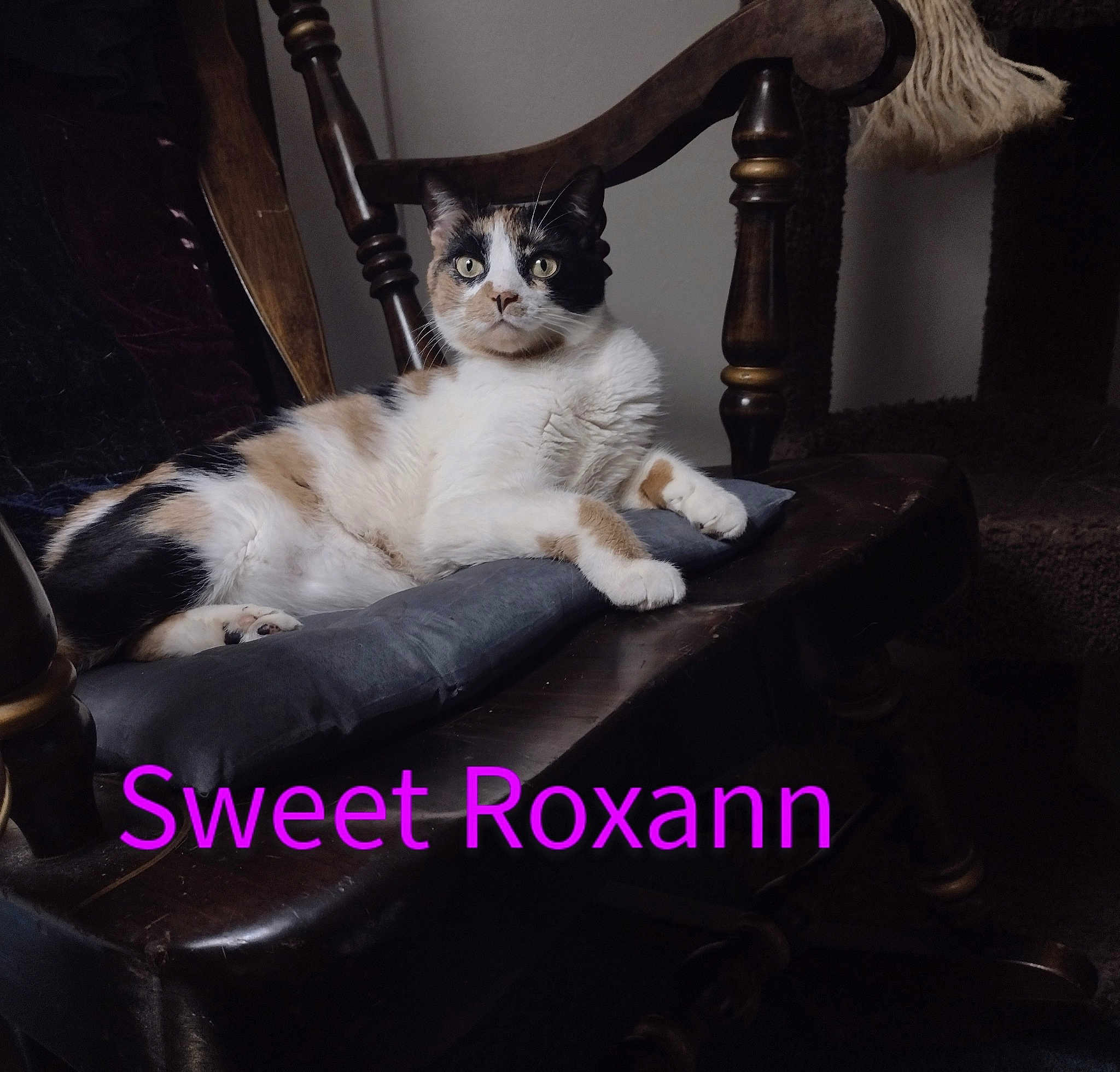 Roxann