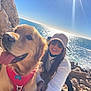 dog, golden_retriever, person, woman, sunglasses, cap, smile, rock, ocean, sea, water, sunlight, blue_sky, outdoor, nature, leash, pet, happy, waves, coast