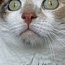 Mirtylle participe au concours pour gagner de l'argent avec cette photo :