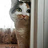 Ella participe au concours pour gagner de l'argent avec cette photo :