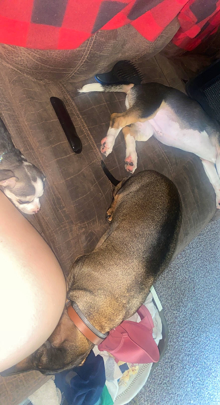 Daisy is registered to the contest to win money with this photo: barefoot, car_seat, carmine, comfort, fashion_accessory, flesh, flooring, foot, gesture, human_leg, knee, leg, nail, personal_protective_equipment, sandal, selfie, thigh, thumb, toe, wrist