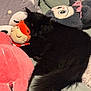black_cat, sleeping, stuffed_animals, plush_toys, bed, cozy, indoor, feline, soft, cute, resting, fur, pink, gray, red, animal, pet, comfort, relaxation, closeup