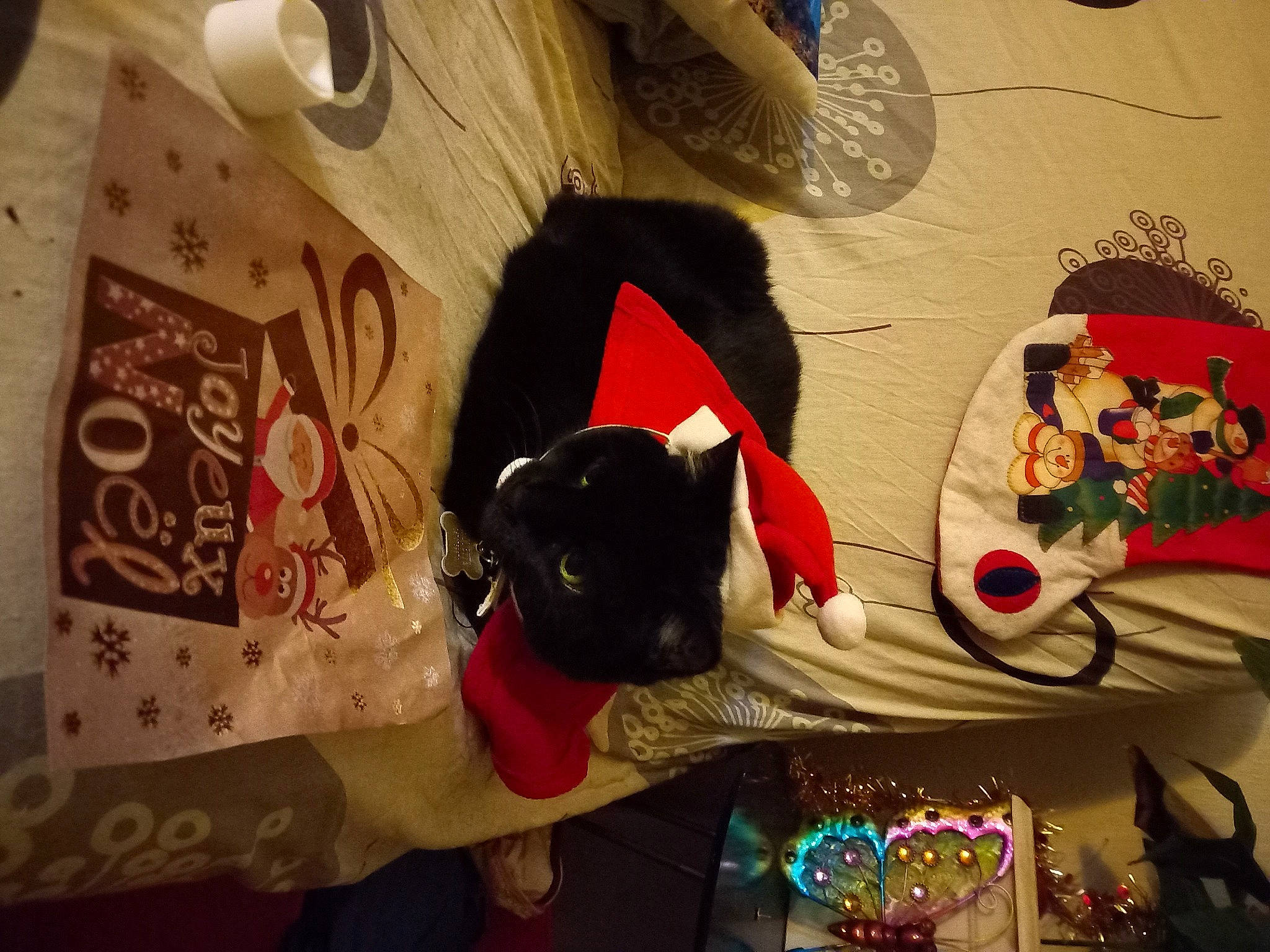 Pirouette a rejoint le concours — aidez-le/la à gagner de superbes lots ! bag, carmine, christmas, costume, event, fashion_accessory, fur, hat, holiday, linens, luggage_and_bags, pattern, plush, room, stuffed_toy, textile, toy, tradition, tree, visual_arts