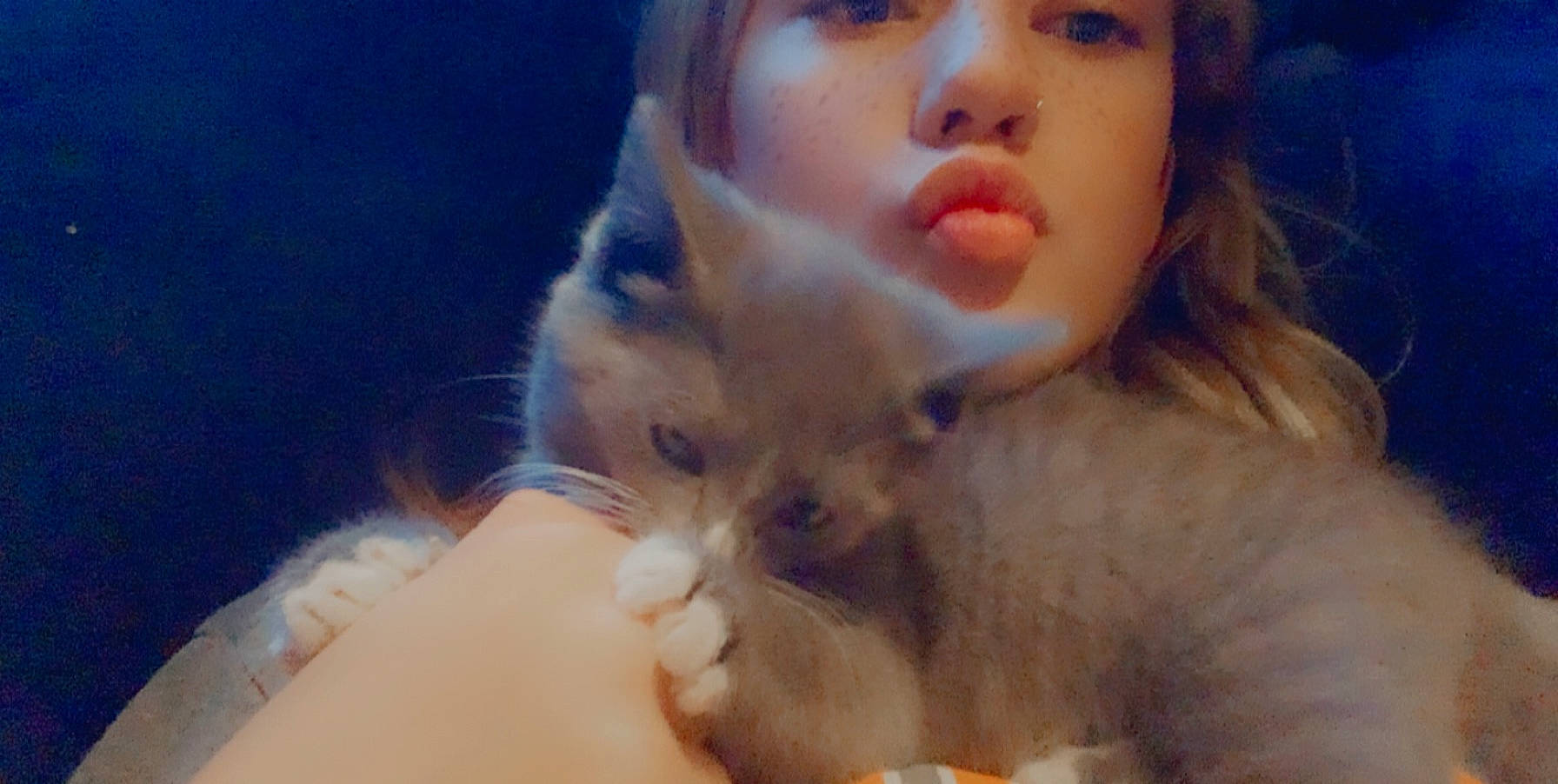 Boots is registered to the contest to win money with this photo: cat, cheek, ear, eye, face, fawn, felidae, fur, head, jaw, kitten, lip, mouth, neck, nose, photography, selfie, skin, snout, whiskers