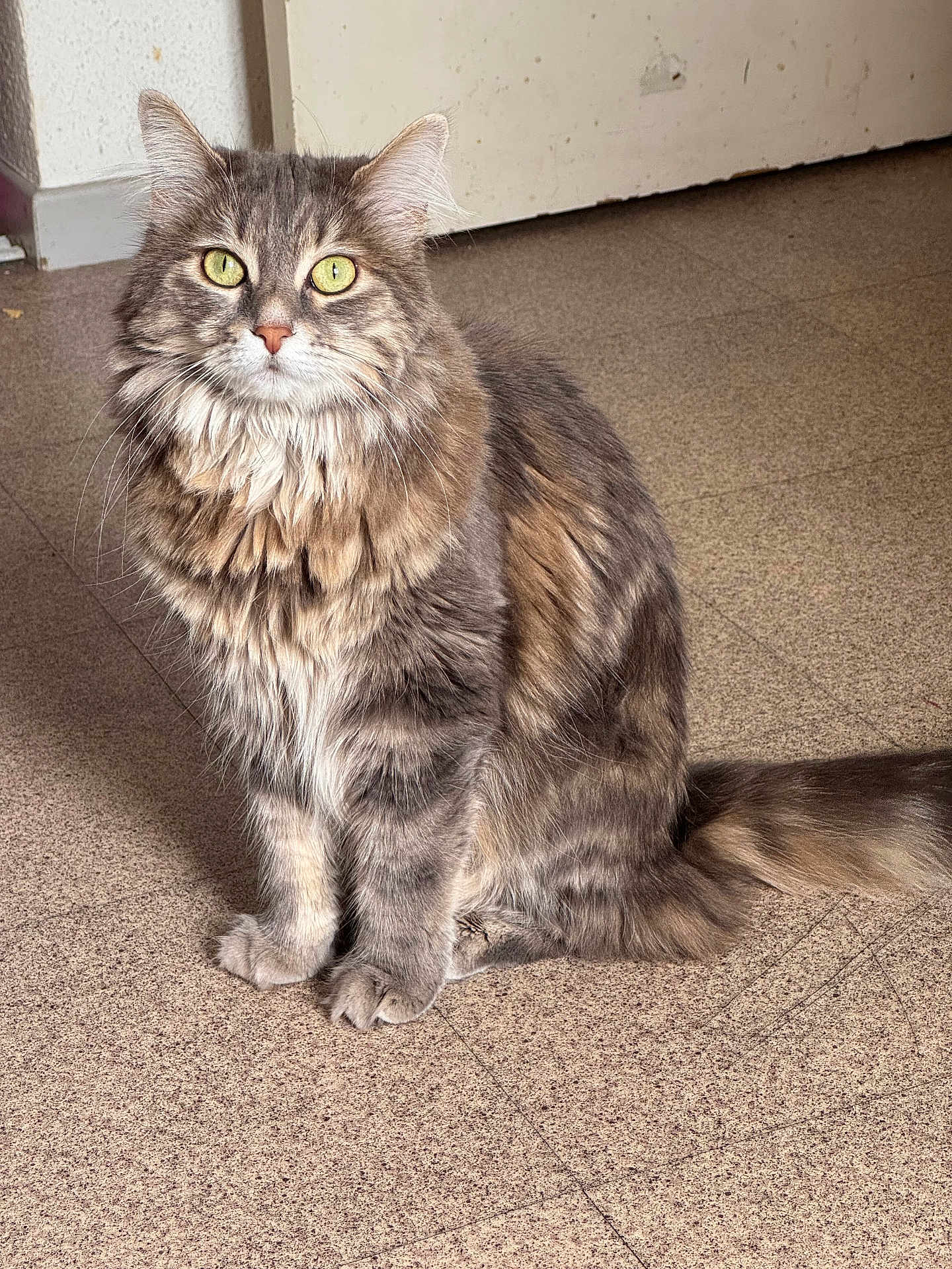 Olympe