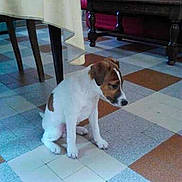 Filou participe au concours pour gagner de l'argent avec cette photo :