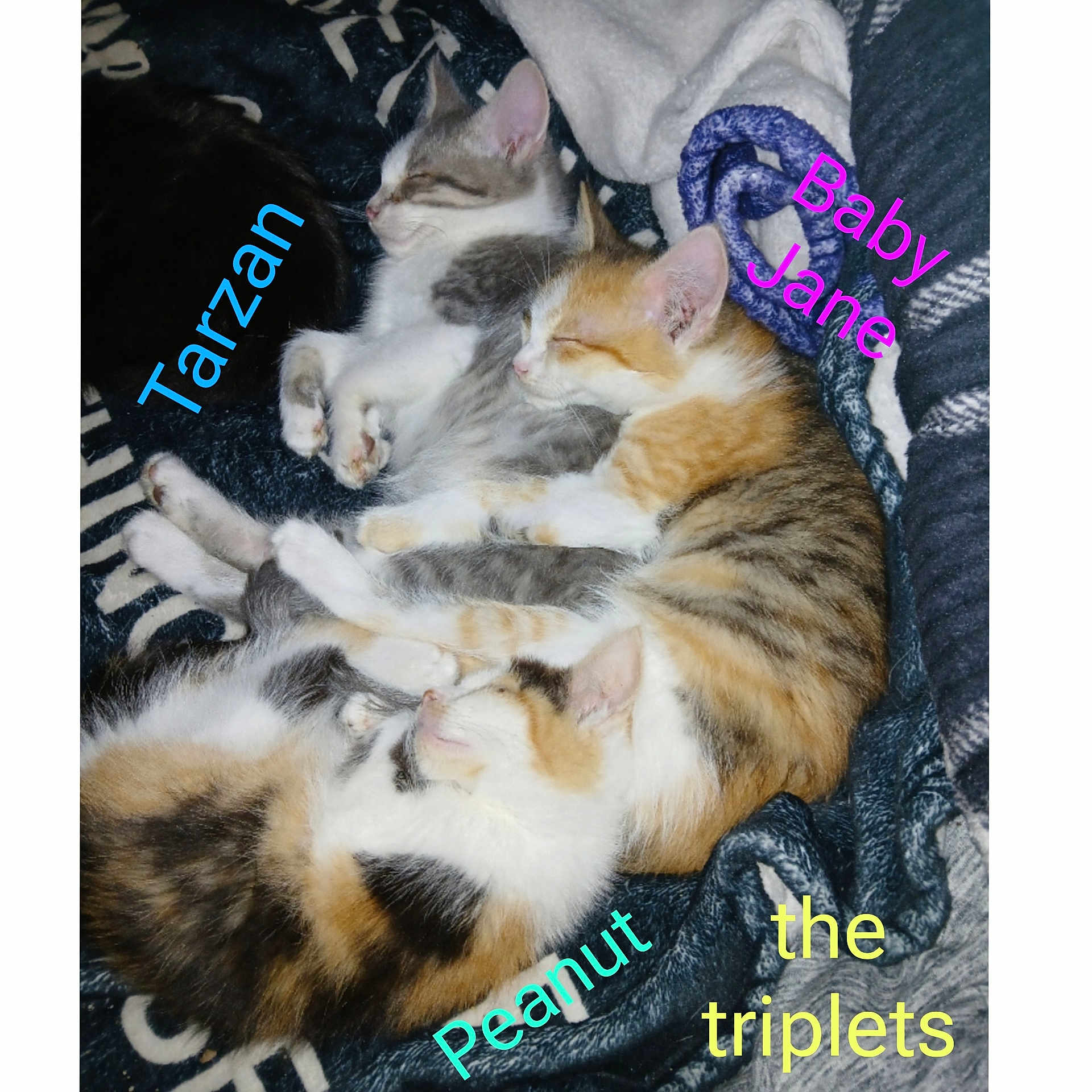 Triplets