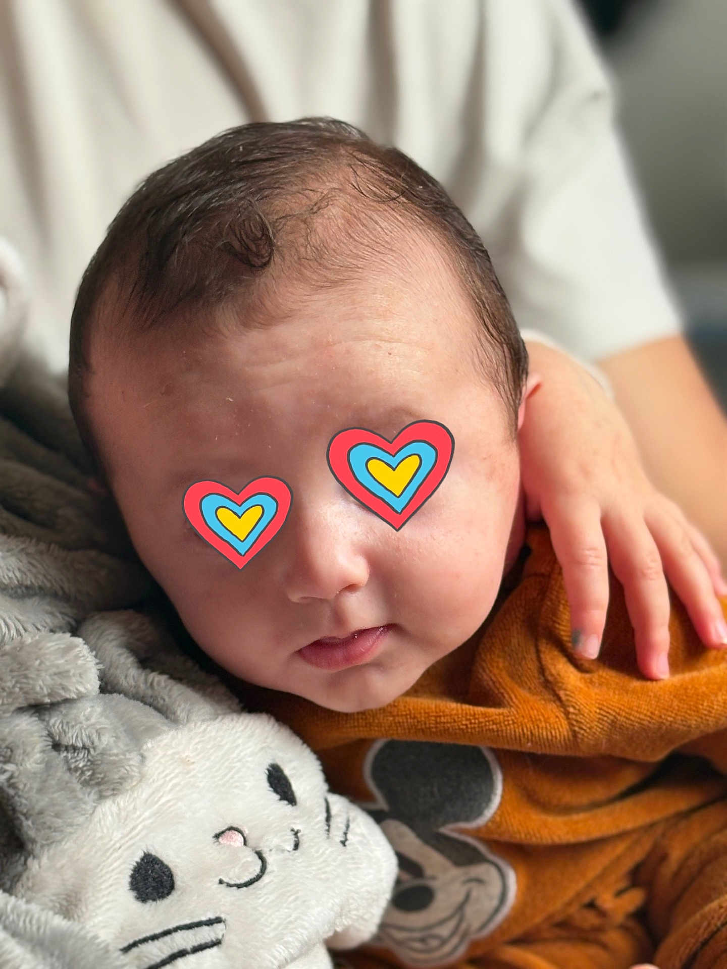 Elio a rejoint le concours — aidez-le/la à gagner de superbes lots ! baby, child, plush_toy, cat_toy, orange_clothing, mickey_mouse, hand, soft_texture, cute, indoor, portrait, closeup, warm_clothing, infant, snuggling, comfort, childhood, adorable, toddler, face_covered