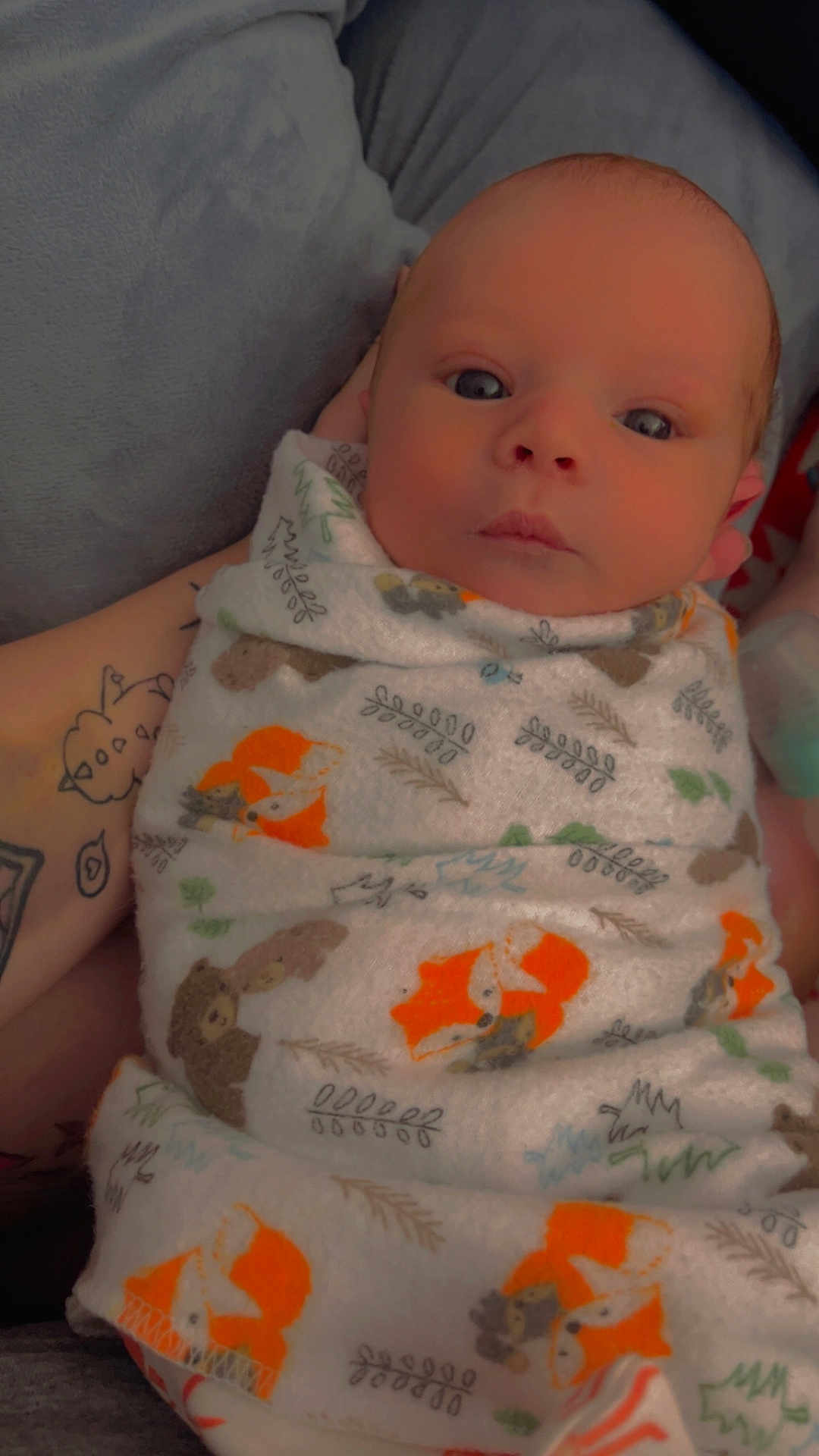 Leo joined the competition — help win amazing prizes! baby, infant, blanket, swaddled, tattoo, arm, face, eyes, cozy, animal_print, orange, brown, green, white, person, newborn, portrait, indoor, cute, soft