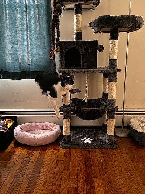 Pavel is registered to the contest to win money with this photo: automotive_tire, coffeemaker, cylinder, flooring, gas, hardwood, home_appliance, household_supply, interior_design, kitchen_appliance, laminate_flooring, lamp, machine, metal, room, toilet, window_treatment, wood, wood_flooring, wood_stain