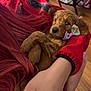 puppy, dog, bow, red_hair, hand, arm, red_sleeve, curly_fur, indoor, wooden_floor, laundry_basket, clothing, person, cute, pet, cozy, small_dog, fur, resting, animal